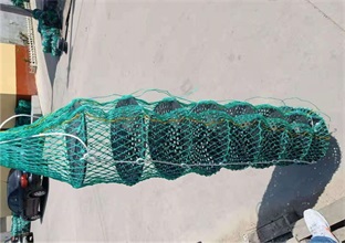 使用扇贝笼养殖的特点与关键要点(图1)