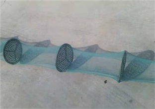 扇贝笼厂家带你了解不同贝类养殖模式(图1)